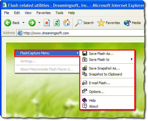 FlashCapture Screenshot